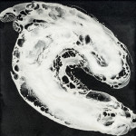 30 x 30 cm 